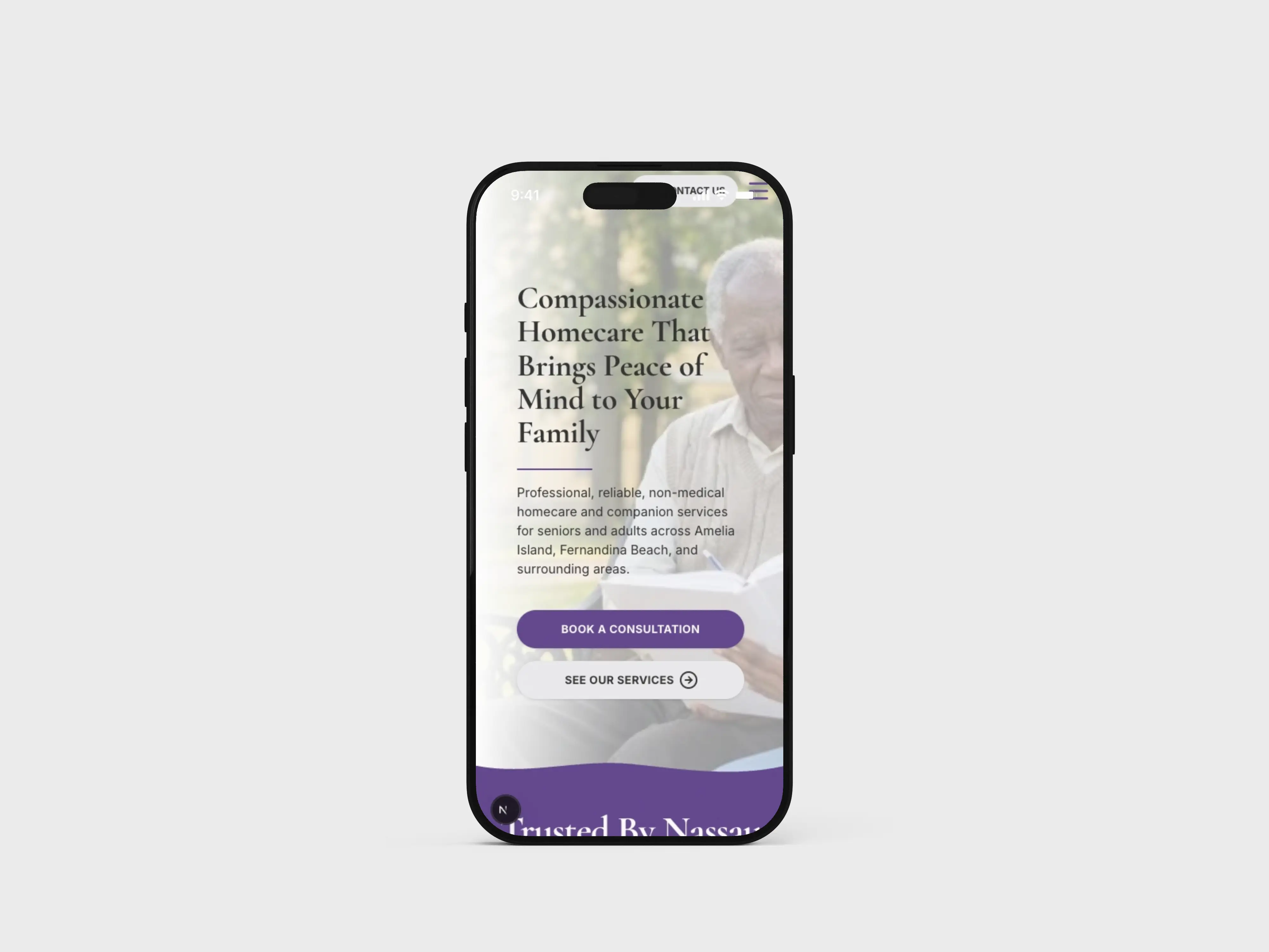 phone preview